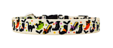 Witch's Shoes Color Dog Collar